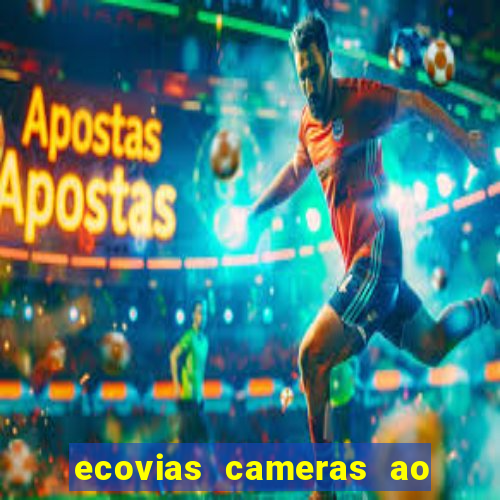 ecovias cameras ao vivo santos